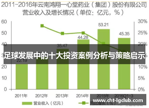足球发展中的十大投资案例分析与策略启示 足球发展中的十大投资案例分析与策略启示